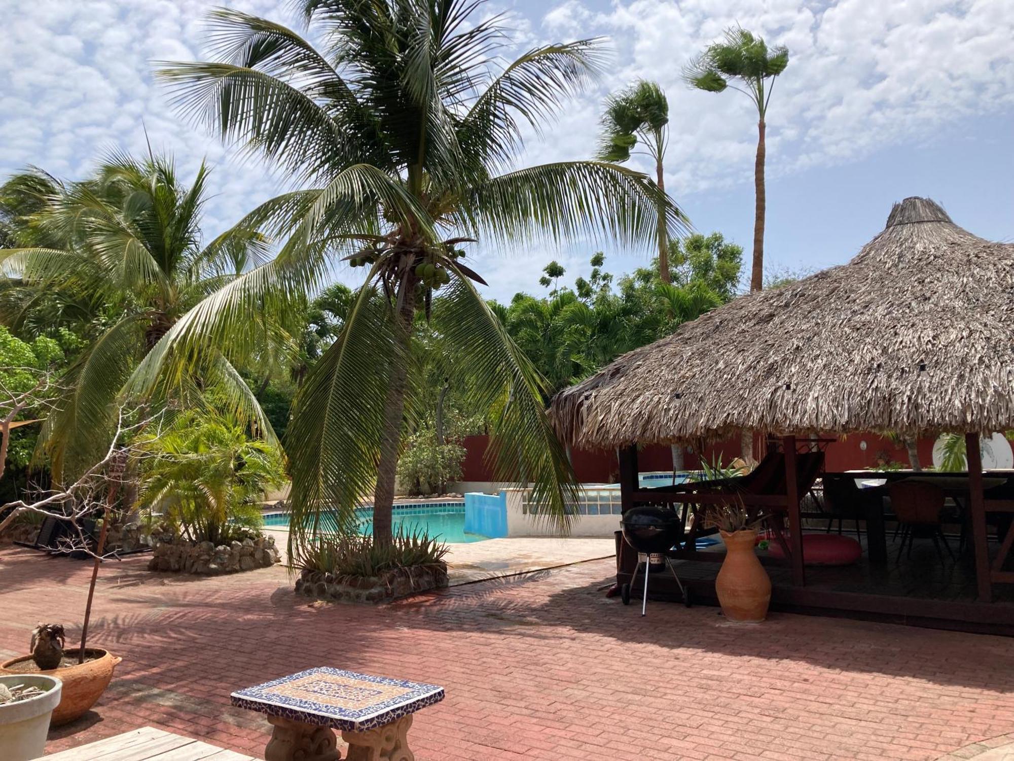 Woodstock Palmresort Curacao Виллемстад Экстерьер фото